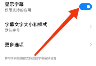 Comment activer la fonction daffichage des sous-titres dans le navigateur Xingyuan