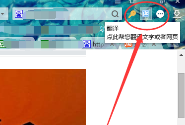 How to translate the entire page in Sogou Browser