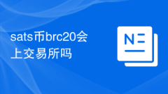 サット通貨brc20は取引所に登場しますか?