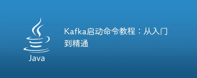 从初学者到专家：Kafka启动命令的完全指南