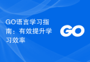 GO语言学习指南：有效提升学习效率