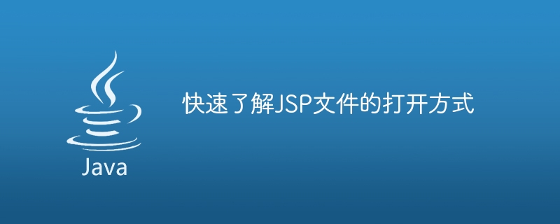 한 눈에 보기: JSP 파일을 여는 방법에 대한 간략한 개요