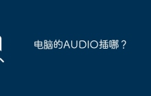 电脑的AUDIO插哪？