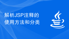 Analyze the usage and classification of JSP comments