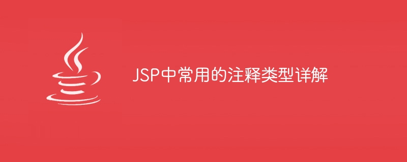 JSP에서 일반적으로 사용되는 주석 유형에 대한 심층 분석