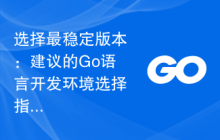 选择最稳定版本：建议的Go语言开发环境选择指南