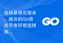 选择最稳定版本：建议的Go语言开发环境选择指南