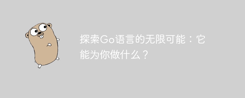 Go语言的无限潜力：它可以给你带来什么？