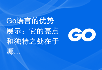 Go 언어의 장점 시연: Go 언어의 특징과 독특한 측면은 무엇입니까?