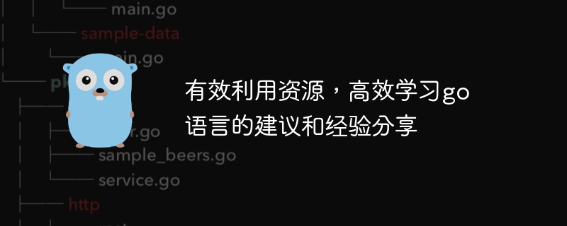 Go 언어 학습을 위한 효과적인 자원 활용 및 효율적인 경험 공유