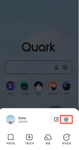 Comment annuler les publicités taguées dans Quark Browser