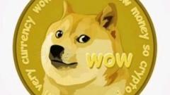 柴犬币和狗狗币的区别,柴犬币和狗狗币怎么样购买