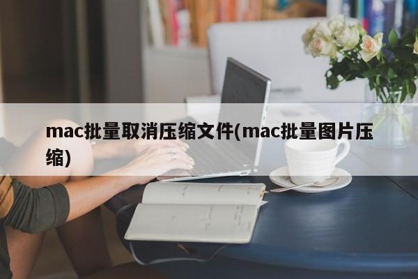 mac批量取消壓縮檔(mac批量圖片壓縮)