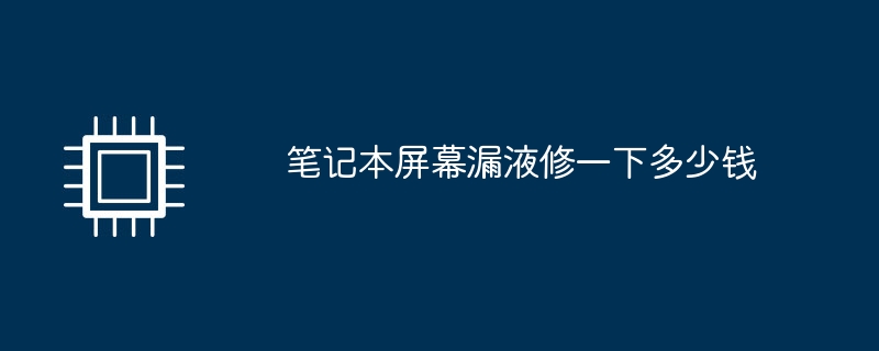 노트북 화면이 새는 것을 수리하는 데 비용이 얼마나 드나요?