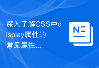 Learn more about the common attribute values ​​of the display attribute in CSS