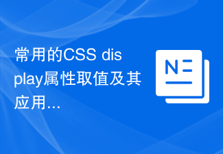 常用的CSS display属性取值及其应用场景