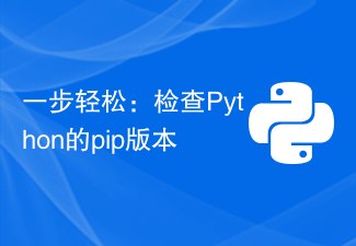 一步轻松：检查Python的pip版本