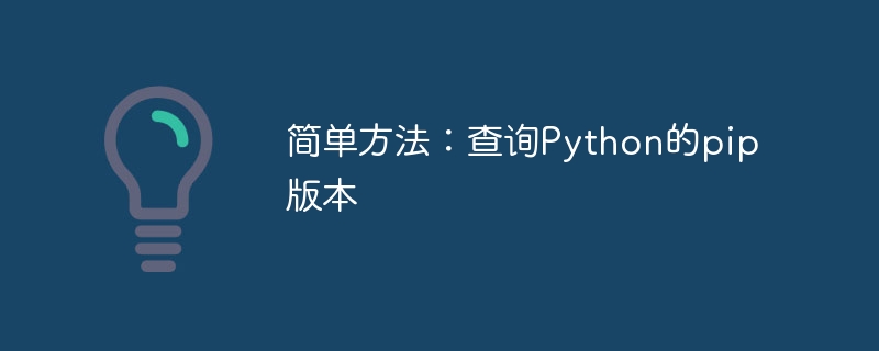 簡単な 1 つのステップ: Python の pip バージョンを確認する