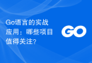 Go语言的实战应用：哪些项目值得关注？