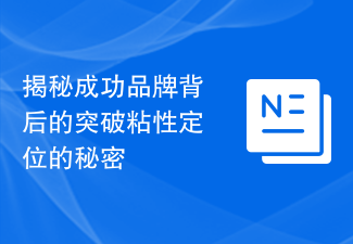 揭秘成功品牌背后的突破粘性定位的秘密