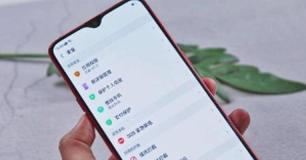 忘记OPPO手机密码怎么重置？（忘记密码时的解决方案及操作步骤）