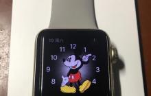 AppleWatchSport（探索AppleWatchSport系列的多样性与实用性）