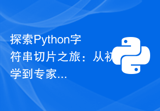 Python での文字列スライスの探求: 初心者から専門家まで