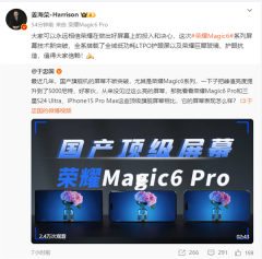 屏幕表现哪家强：荣耀Magic 6 Pro和三星S24 Ultra不相上下 超iPhone 15 Pro Max