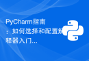 PyCharm指南：如何选择和配置解释器入门