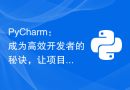 PyCharm：成为高效开发者的秘诀，让项目打包变得轻松