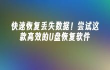 快速恢复丢失数据!尝试这款高效的U盘恢复软件