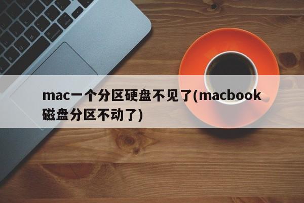 Mac의 파티션된 하드 드라이브가 없습니다(Macbook 디스크 파티션이 이동하지 않음).