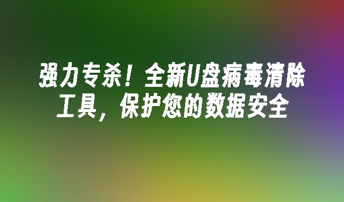 강력한 스페셜 킬! 데이터 보안을 보호하는 새로운 U 디스크 바이러스 제거 도구