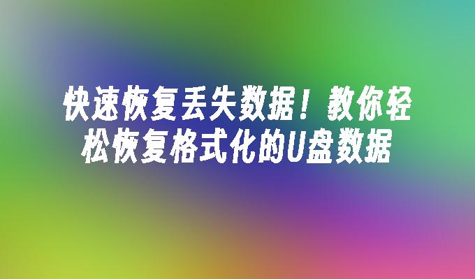 손실된 데이터를 빠르게 복구하세요! 포맷된 U 디스크 데이터를 쉽게 복구하는 방법을 가르쳐주세요.