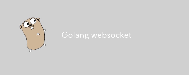 Golang websocket