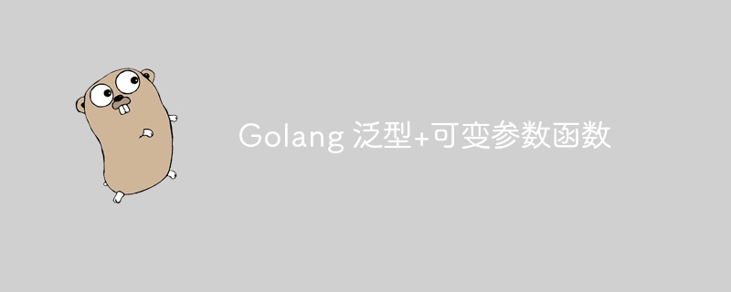 Golang 泛型+可变参数函数