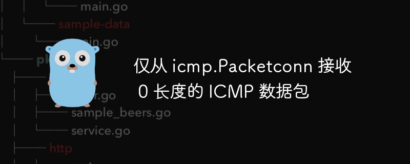 仅从 icmp.Packetconn 接收 0 长度的 ICMP 数据包