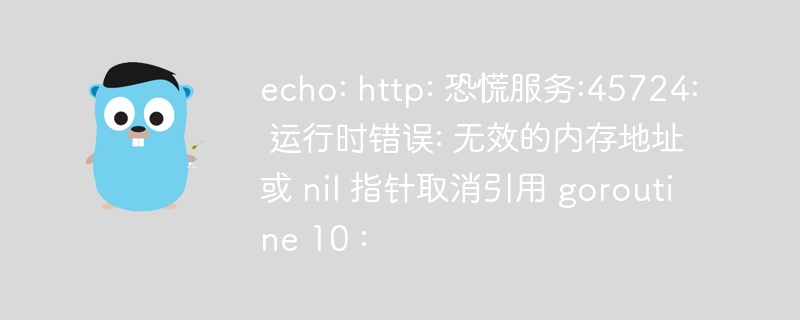 echo: http: 恐慌服务:45724: 运行时错误: 无效的内存地址或 nil 指针取消引用 goroutine 10 :