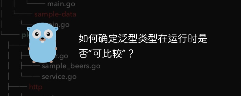 如何確定泛型類型在運行時是否「可比較」？