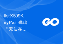 tls.X509KeyPair 弹出“无法在证书输入中找到任何 PEM 数据”错误