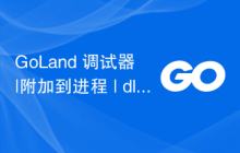 GoLand 调试器 |附加到进程 | dlv.exe 访问被拒绝