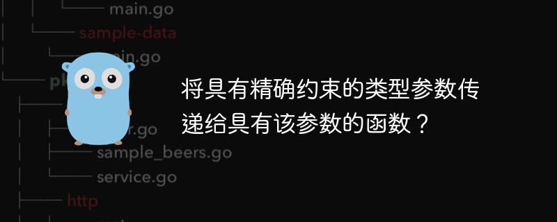 将具有精确约束的类型参数传递给具有该参数的函数？