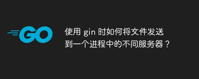 使用 gin 时如何将文件发送到一个进程中的不同服务器？