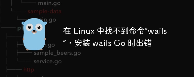 在 linux 中找不到命令“wails”，安装 wails go 时出错