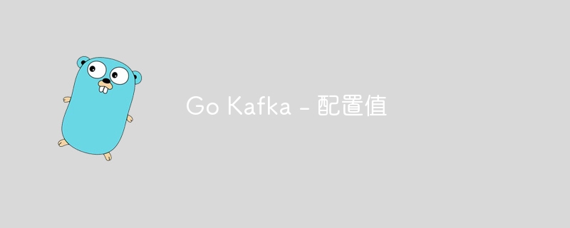 go kafka - 配置值