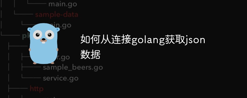 如何从连接golang获取json数据