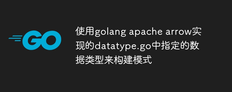 使用golang apache arrow实现的datatype.go中指定的数据类型来构建模式