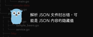 解析 json 文件时出错，可能是 json 内容的隐藏值