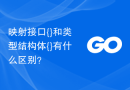 映射接口{}和类型结构体{}有什么区别？