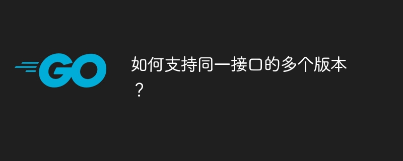 同じインターフェースの複数のバージョンをサポートするにはどうすればよいですか?